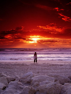 Other Wallpapers 0858